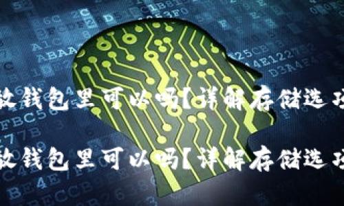 比特币不放钱包里可以吗？详解存储选项与安全性

比特币不放钱包里可以吗？详解存储选项与安全性