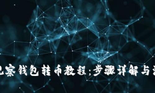 tp钱包观察钱包转币教程：步骤详解与注意事项