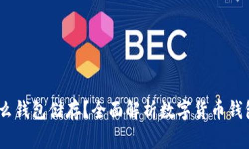 USDT用什么钱包储存？全面解析数字货币钱包选择指南