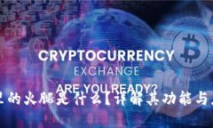 TP里的火腿是什么？详解其功能与应用